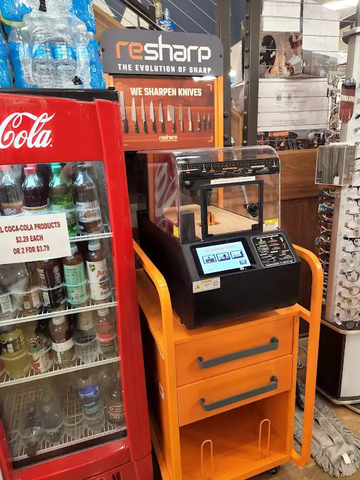 Seashore Ace Picture 5