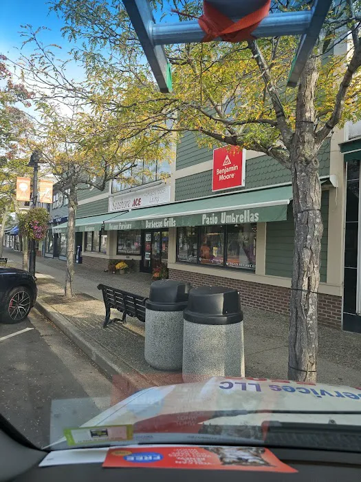 Seashore Ace Picture 9