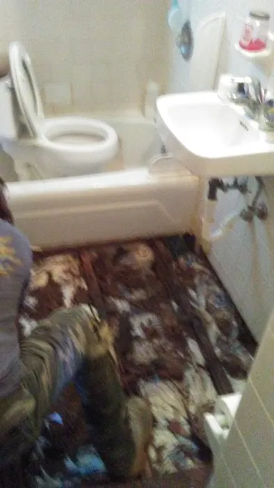 Fams P & S Co Picture 2