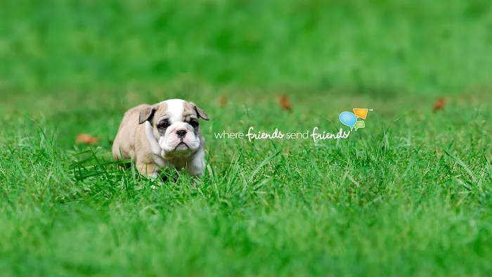 OC Floor Gallery Picture 8