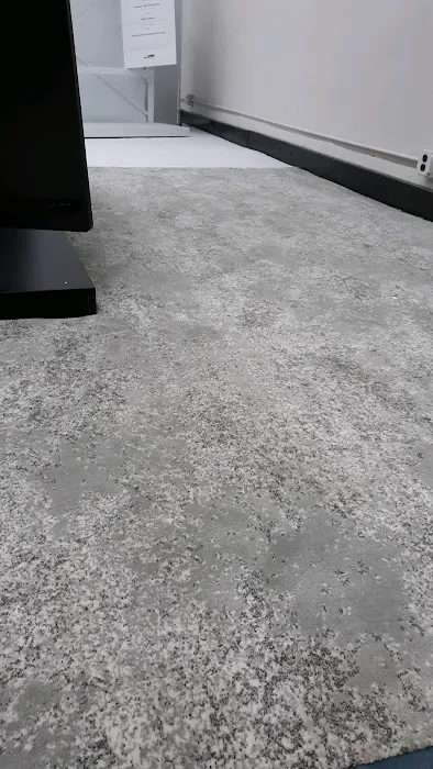 Modern Carpet and Flooring Picture 5
