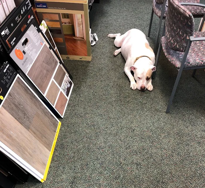 Willis & Co Floor Covering Picture 9