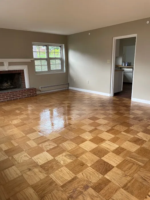 Willis & Co Floor Covering Picture 6