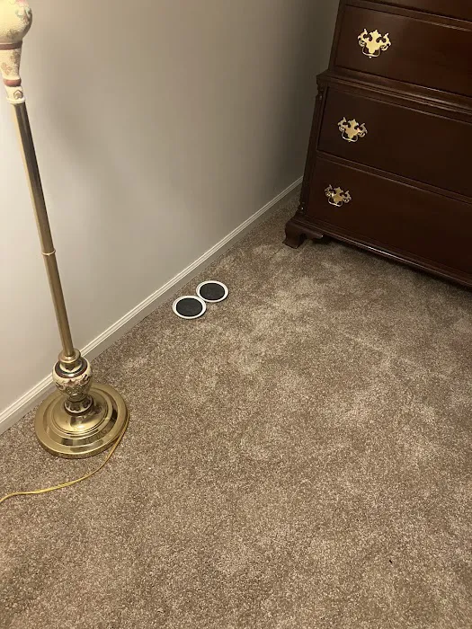 Willis & Co Floor Covering Picture 7