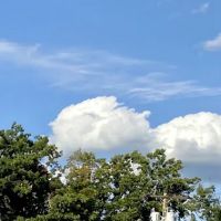 Avon Rug Gallery ico