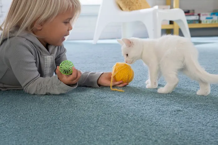 Martin's Floor Coverings Picture 7