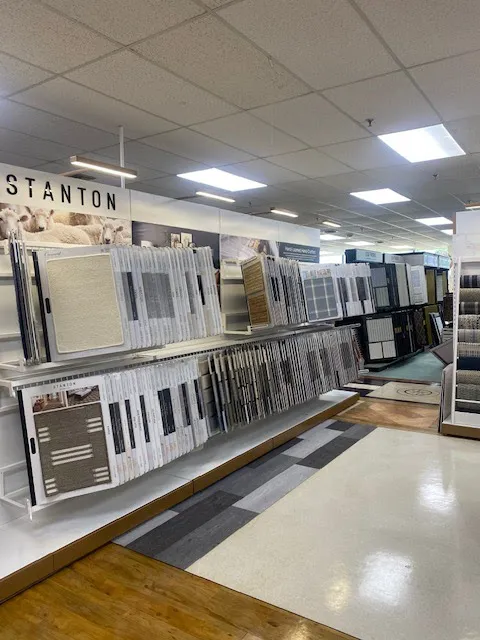 Sybelle Carpet Picture 4