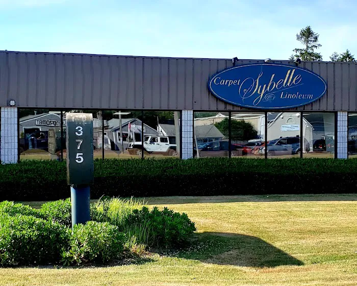 Sybelle Carpet Picture 3