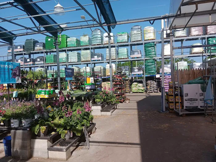 Lowe's Home Improvement Picture 5