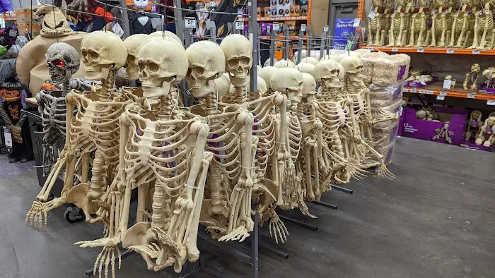 The Home Depot Picture 9