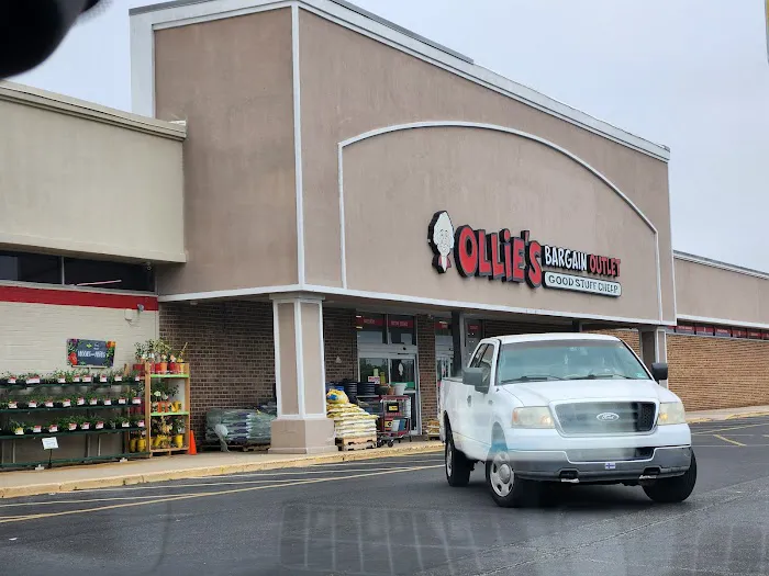 Ollie's Bargain Outlet Picture 8