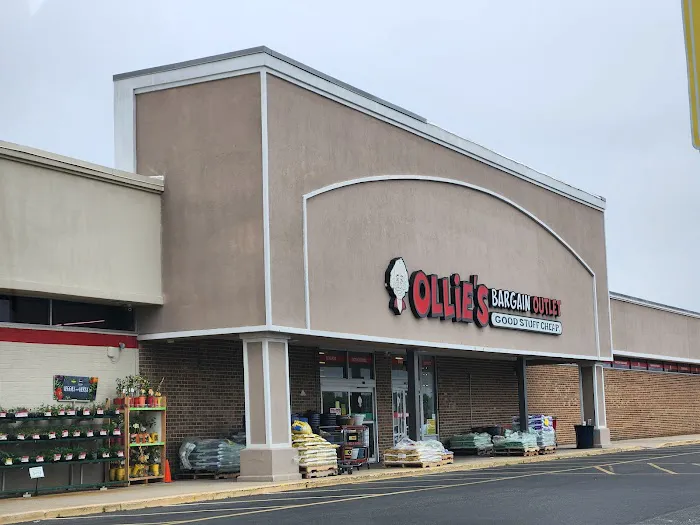 Ollie's Bargain Outlet Picture 5