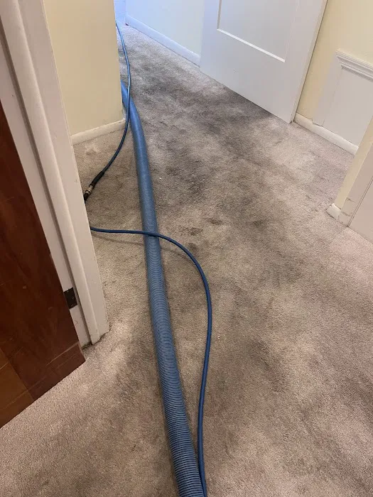 TopSteam Carpet, Upholstery, Tile & Grout Cleaning LLC Picture 10