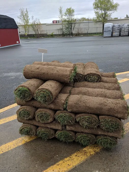 The Home Depot Picture 7