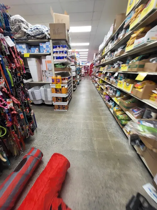 Ollie's Bargain Outlet Picture 3