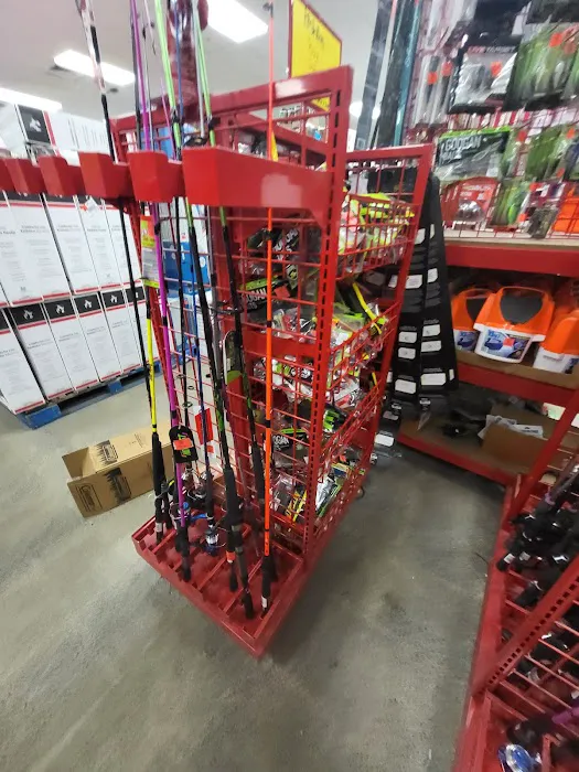 Ollie's Bargain Outlet Picture 1