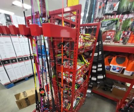 Ollie's Bargain Outlet