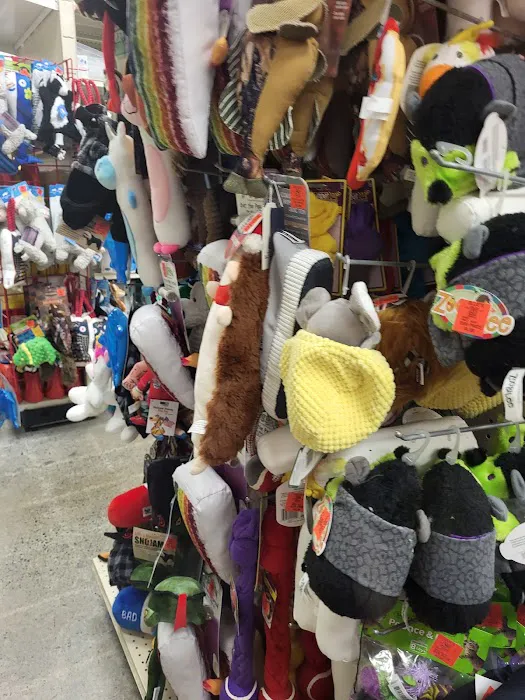 Ollie's Bargain Outlet Picture 8