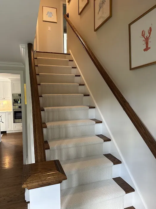 Action Carpet & Floor Covering Picture 6