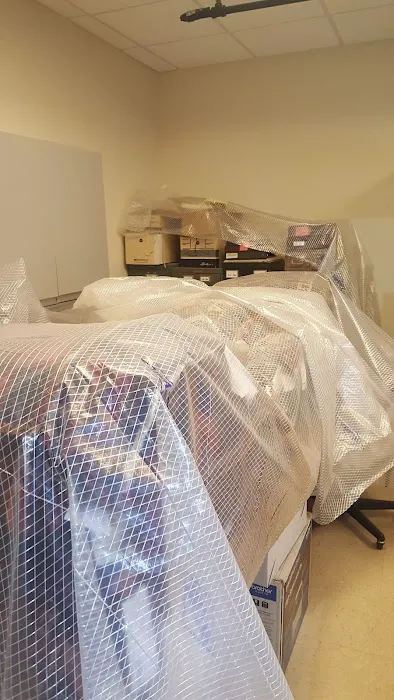 Jacobsen Rugs Picture 1