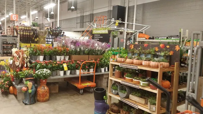 The Home Depot Picture 5