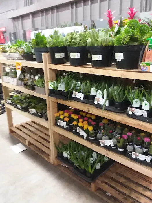 The Home Depot Picture 1