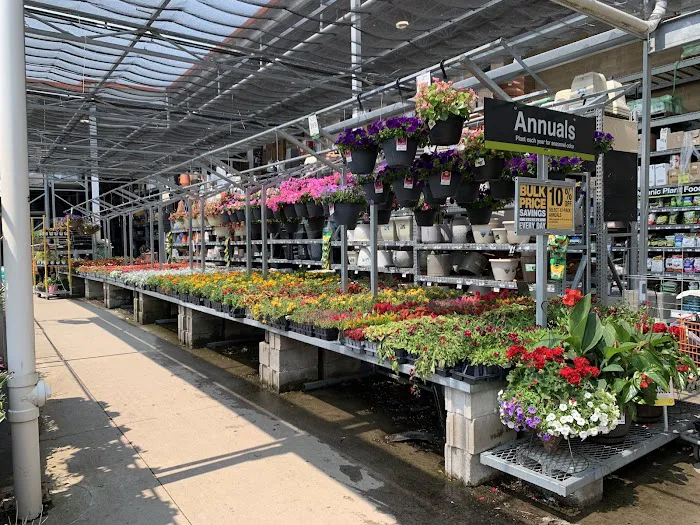 The Home Depot Picture 10