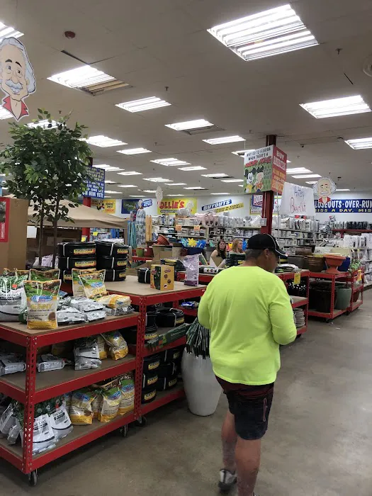 Ollie's Bargain Outlet Picture 10