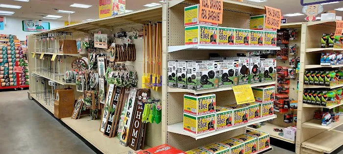 Ollie's Bargain Outlet Picture 7