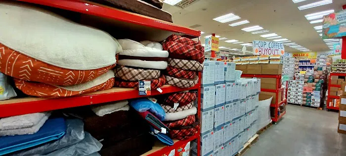 Ollie's Bargain Outlet Picture 6