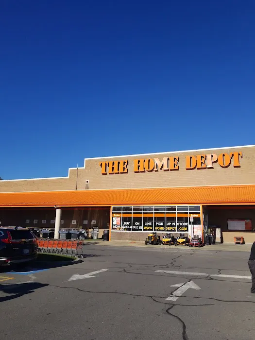 The Home Depot Picture 4