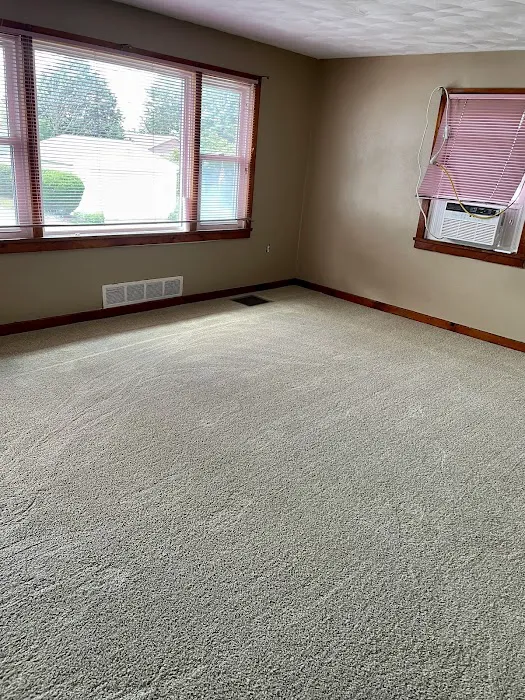 Winner Carpet One Floor & Home Picture 6