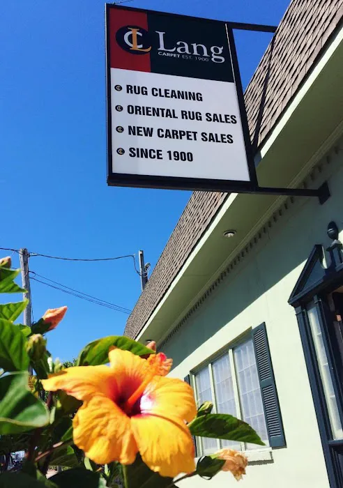 Lang Carpet Picture 4