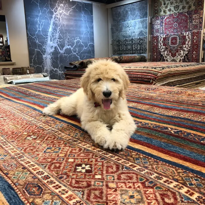 Lang Carpet Picture 9