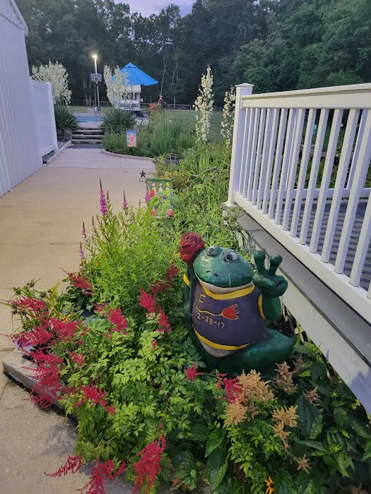 Rose Floor Covering Picture 2