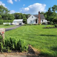 Rose Floor Covering ico