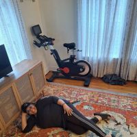 The Original Hoffman Carpet Cleaning ico