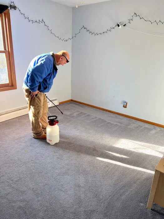 The Original Hoffman Carpet Cleaning Picture 6