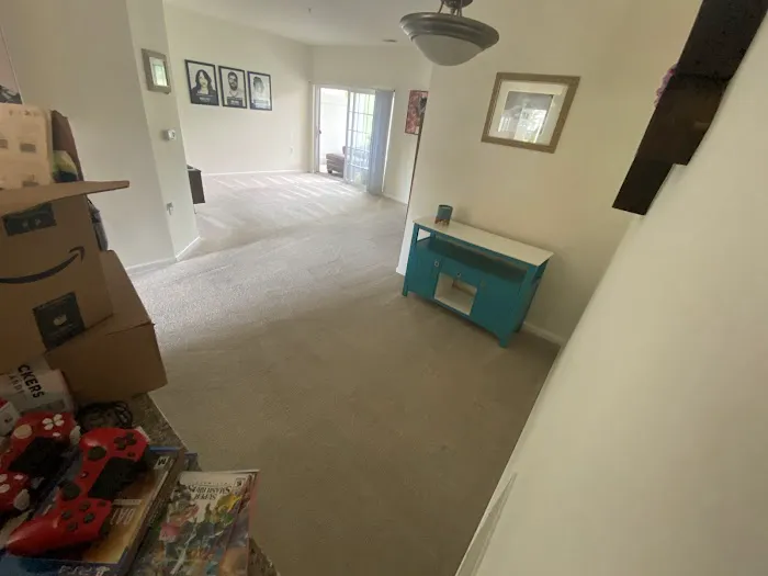 The Original Hoffman Carpet Cleaning Picture 4