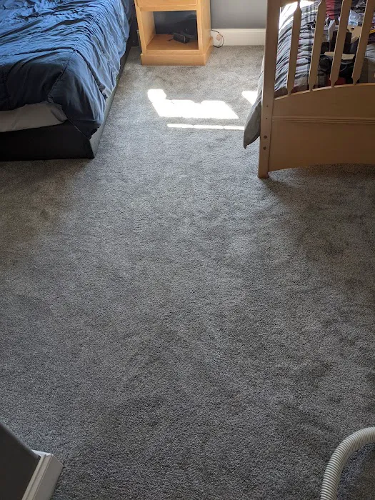 Lucky Sevens Carpet Picture 4