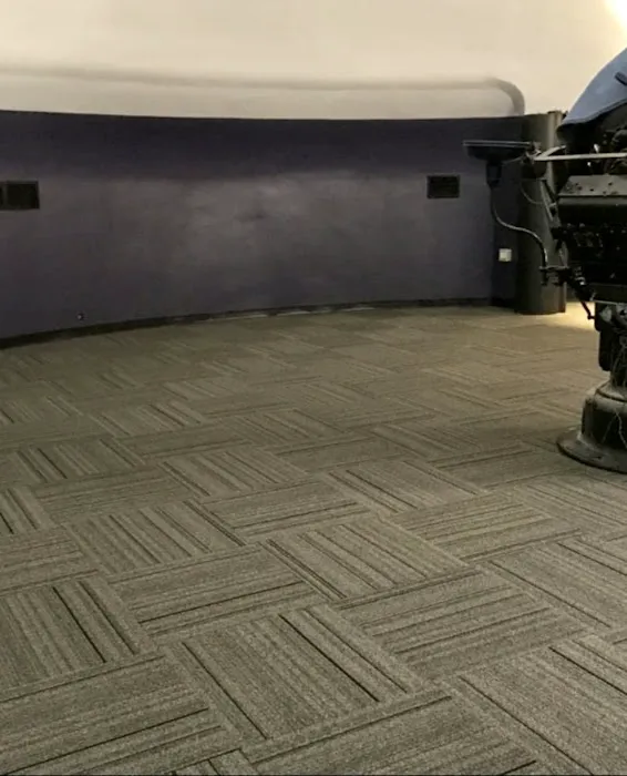 Dimauro Carpet Tile Picture 6