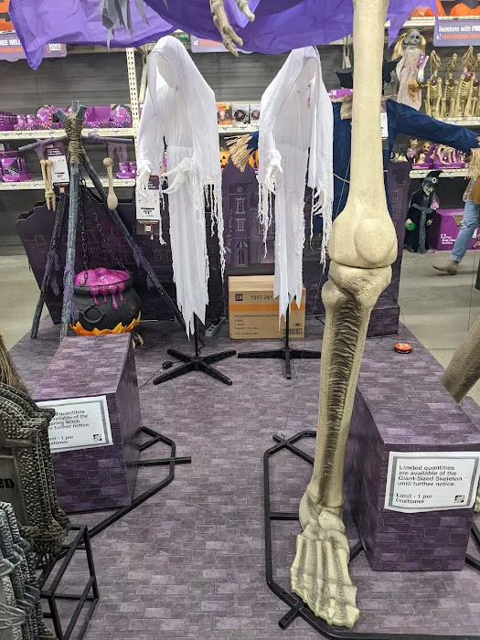 The Home Depot Picture 5