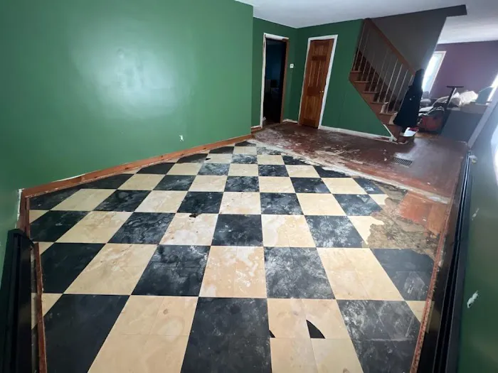 CarpetWorks, LLC Picture 5