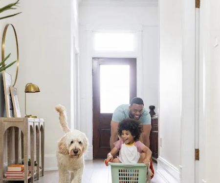 Floor Coverings International of Central CT