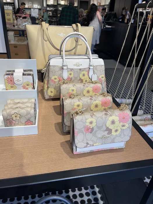 Ollie's Bargain Outlet Picture 5