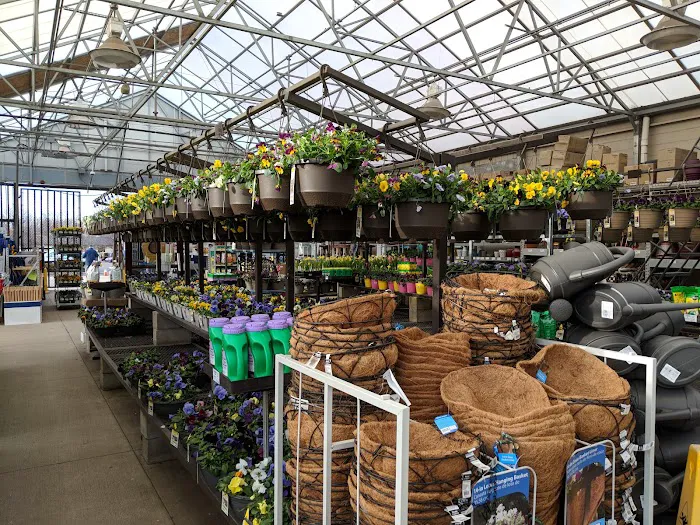 Lowe's Home Improvement Picture 7