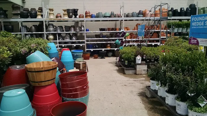 Lowe's Home Improvement Picture 4