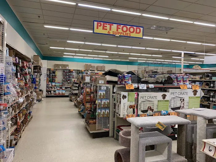 Ocean State Job Lot Picture 9