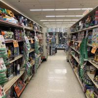 Ocean State Job Lot ico