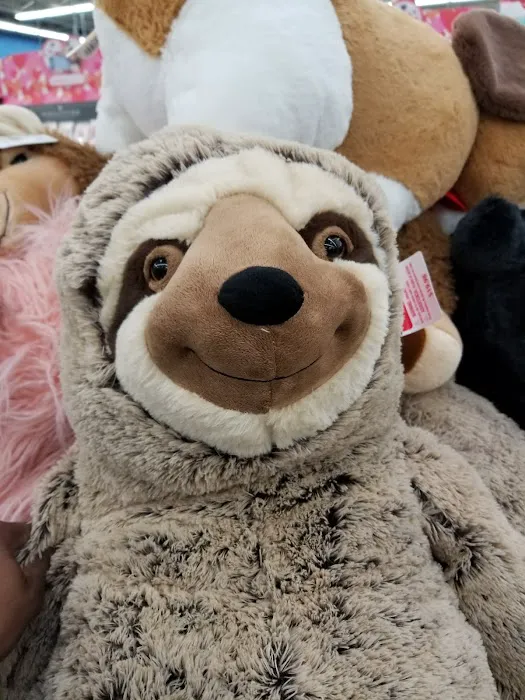 Walmart Supercenter Picture 7